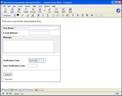 Preview of Web Form